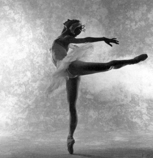 tutu06.jpg